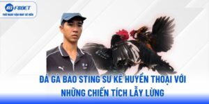 da-ga-bao-sting-su-ke-huyen-thoai-voi-nhung-chien-tich-lay-lung