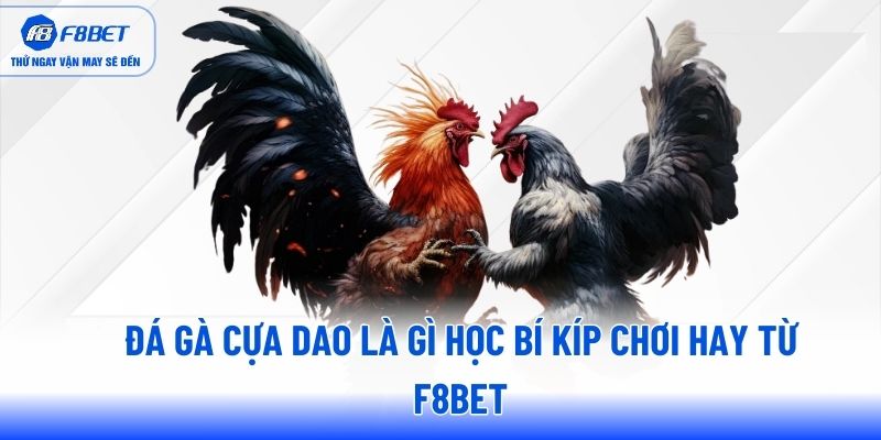 da-ga-cua-dao-la-gi-hoc-bi-kip-choi-hay-tu-f8bet