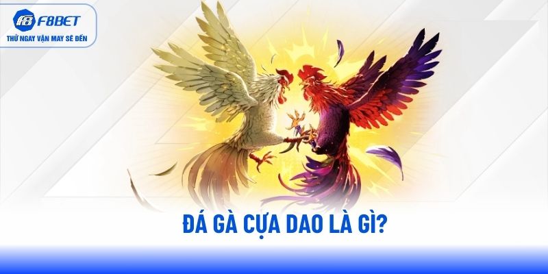 Đá gà cựa dao là gì? Đá gà cựa dao là gì?