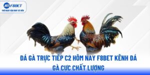 da-ga-truc-tiep-c2-hom-nay-f8bet-kenh-da-ga-cuc-chat-luong
