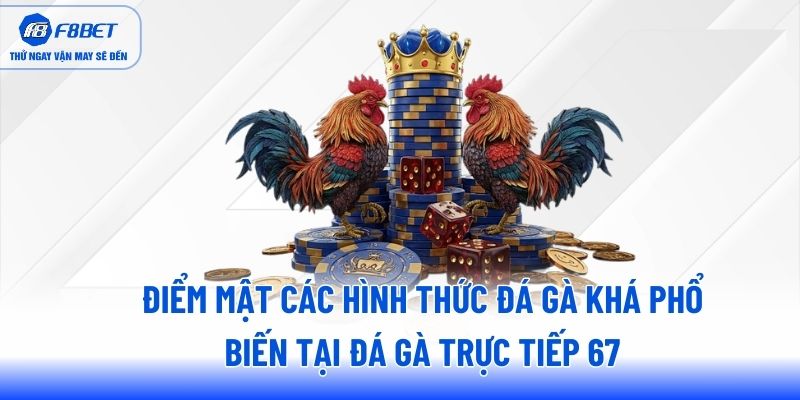 Điểm mật các hình thức đá gà khá phổ biến tại đá gà trực tiếp 67 Điểm mật các hình thức đá gà khá phổ biến tại đá gà trực tiếp 67
