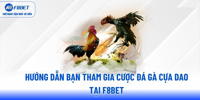 Hướng dẫn bạn tham gia cược đá gà cựa dao tại F8BET Hướng dẫn bạn tham gia cược đá gà cựa dao tại F8BET