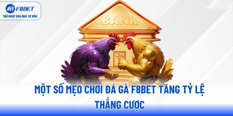 Một số mẹo chơi đá gà F8BET tăng tỷ lệ thắng cược Một số mẹo chơi đá gà F8BET tăng tỷ lệ thắng cược