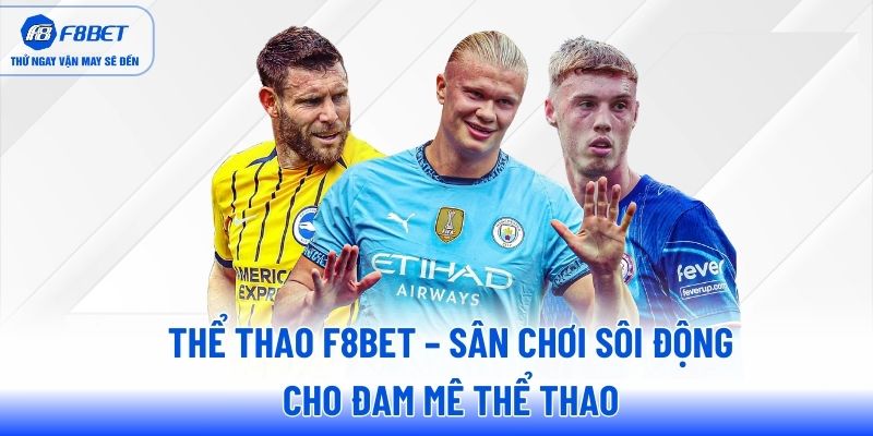 the-thao-f8bet-san-choi-soi-dong-cho-dam-me-the-thao
