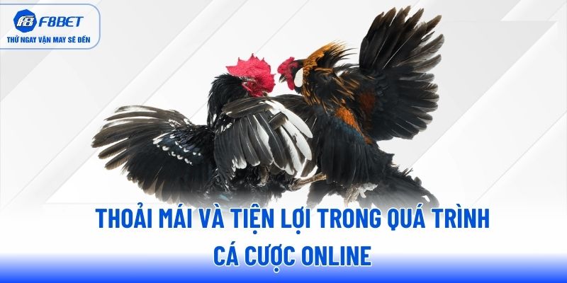 Thoải mái và tiện lợi trong quá trình cá cược online Thoải mái và tiện lợi trong quá trình cá cược online