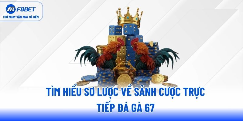 Tìm hiểu sơ lược về sảnh cược trực tiếp đá gà 67 Tìm hiểu sơ lược về sảnh cược trực tiếp đá gà 67