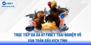 truc-tiep-da-ga-67-f8bet-trai-nghiem-vo-van-tran-dau-kich-tinh